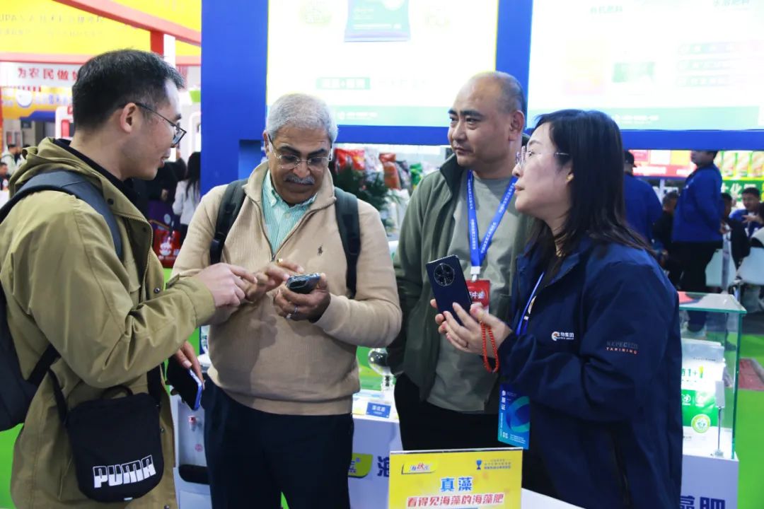 全国磷复肥会388vip太阳集团亮点纷呈备受瞩目