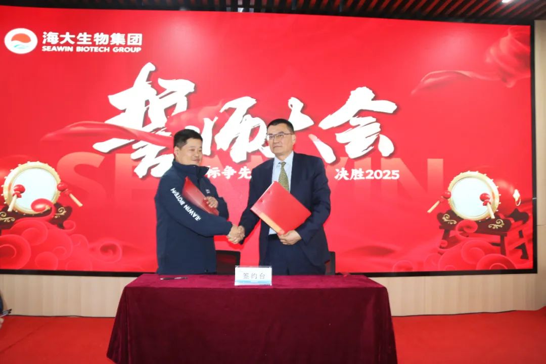 388vip太阳集团集团举行2024年度总结表彰大会